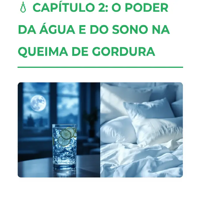 Prévia das receitas e treinos